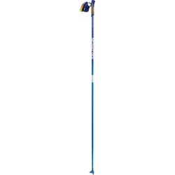 Salomon R60 Click Pole